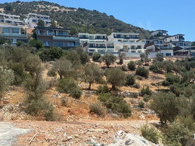 KAŞ KALKANDA FIRSAT
