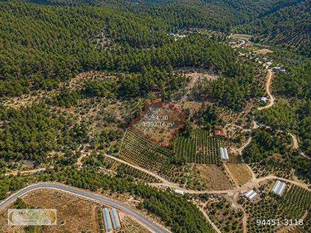 KAŞ KEMER MAHALLESİ'NDE 4.392 m MÜSTAKİL TAPULU SATILIK DOĞA CENNETİ TARLA