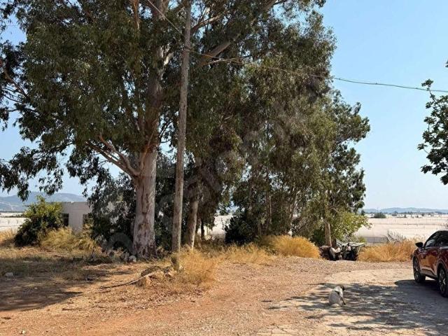 KAŞ KINIK MERKEZDE KAÇIRIMAYACAK FIRSAT