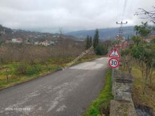 Kaçmaz Emlaktan Trabzon Ortahisar Göz Alan Mah Satılık