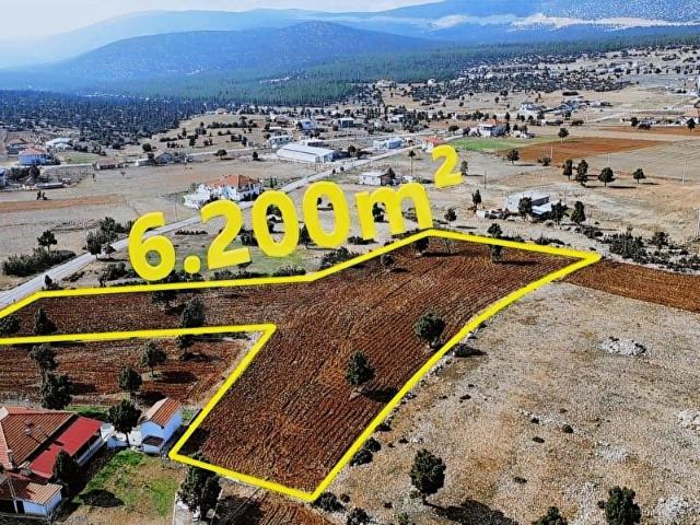 KAÇMAZ FIRSAT SIMANDIR SUSUZUNDA KUPON UYGUN ARAZİ