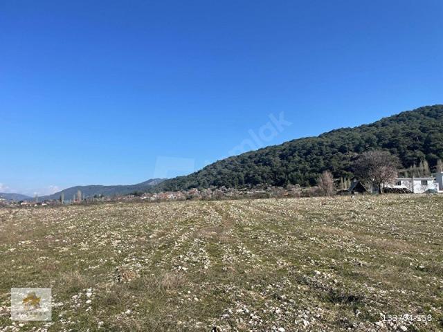 KAŞ SARIBELENDE YERLEŞİM ALANINA YAKIN SATILIK TARLA
