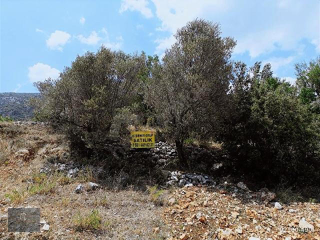 KAŞ SATILIK BAHÇE TEK TAPU