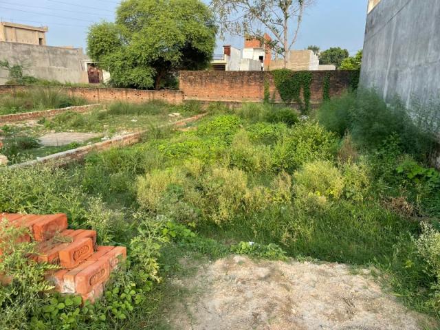 Kamta, Lucknow East 111 Sq.Yd. Plot in Kamta Lucknow Listing ID: #10126