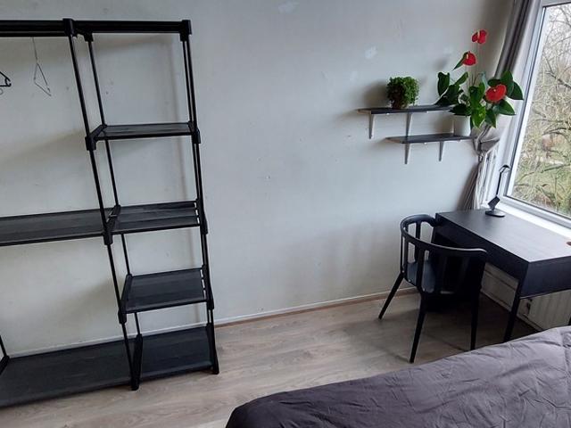 Kamer te huur in Amsterdam