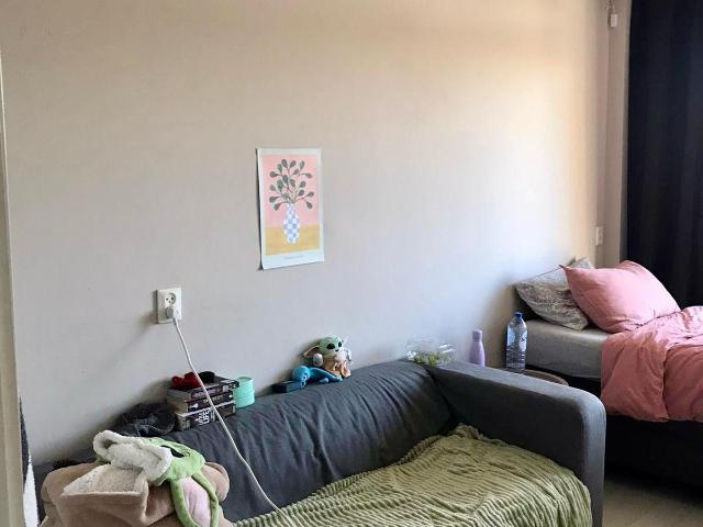 Kamer te huur in Arnhem Zuid