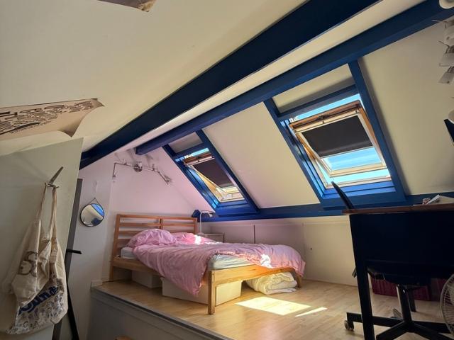 Kamer te huur in Delft