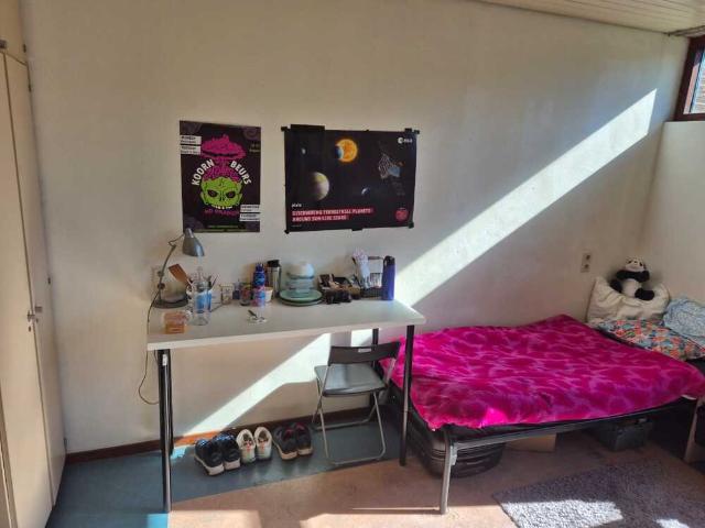 Kamer te huur in Delft