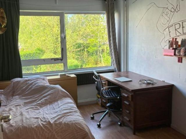 Kamer te huur in Delft