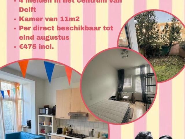 Kamer te huur in Delft