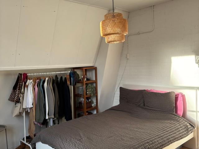 Kamer te huur in Leiden