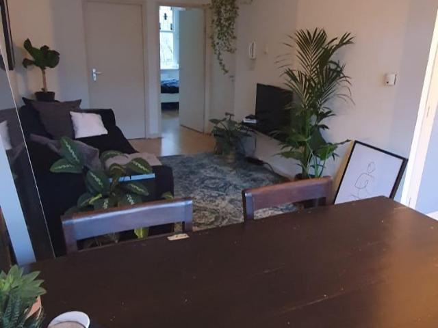 Kamer te huur in Rotterdam