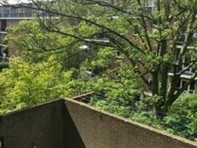Kamer te huur in Rotterdam