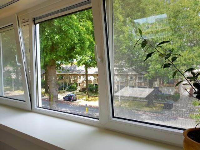 Kamer te huur in Tilburg