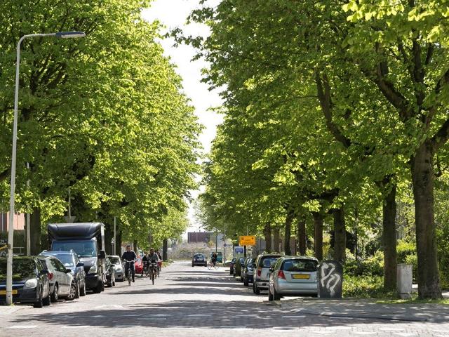 Kamer te huur Van Oldenbarneveldtstraat in Arnhem voor € 625