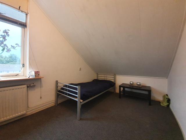 KAMER TE HUUR VOOR STUDENTE / JONGE VROUW