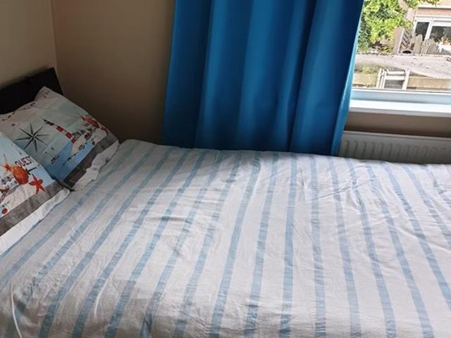Kamer Theeroos in Rotterdam