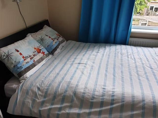 Kamer Theeroos in Rotterdam