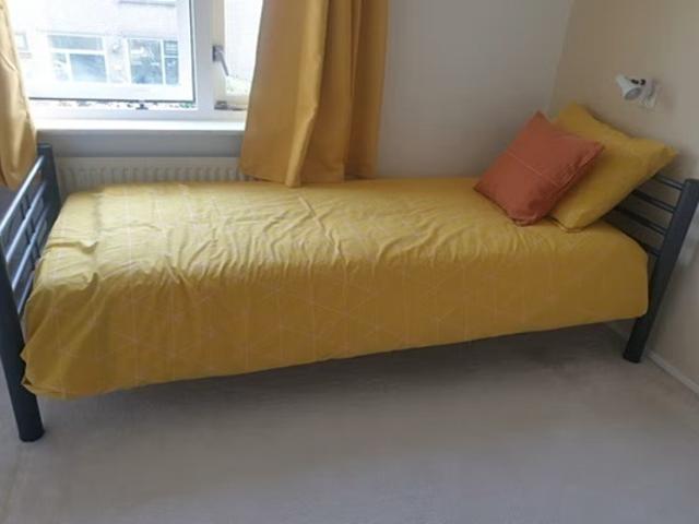 Kamer Theeroos in Rotterdam