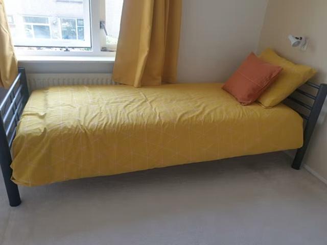 Kamer Theeroos in Rotterdam
