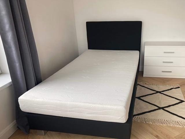 Kamer Abrikozenstraat in Den Haag