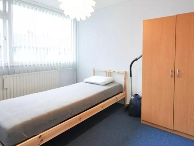 Kamer Buntgras in Rotterdam