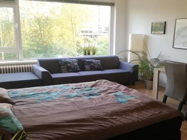 Kamer De Lairesselaan in Rotterdam
