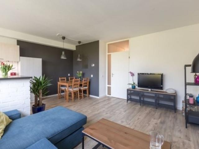 kamer for rent Amsterdam Bogortuin