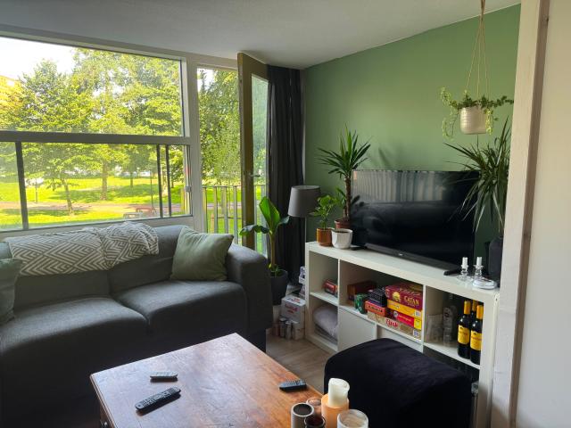 kamer for rent Amsterdam Grubbehoeve