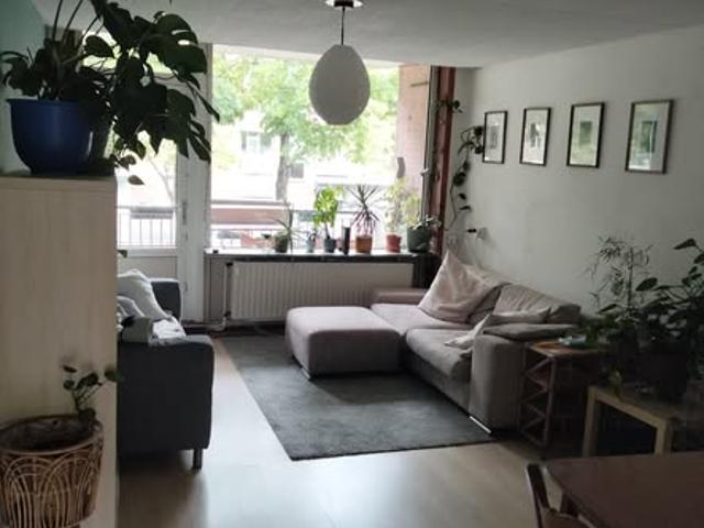 kamer for rent Amsterdam Den Burgstraat