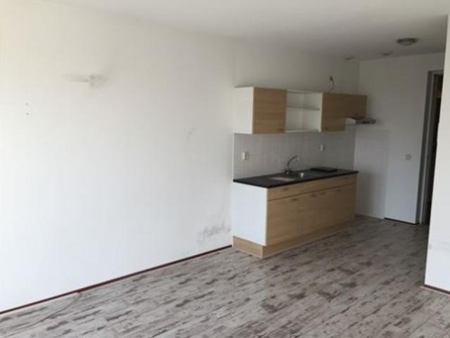 kamer for rent Amsterdam Ferdinand Bolstraat