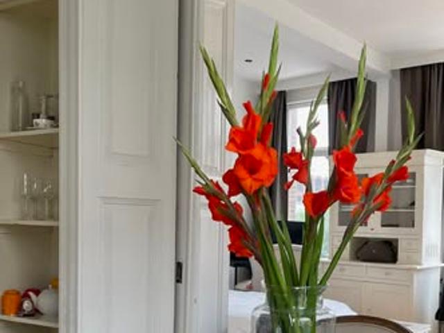 kamer for rent Amsterdam Onbekend