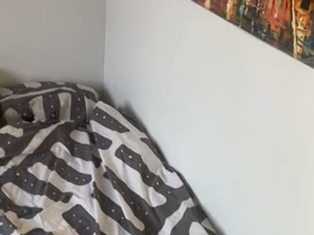 kamer for rent Amsterdam Linnaeusstraat