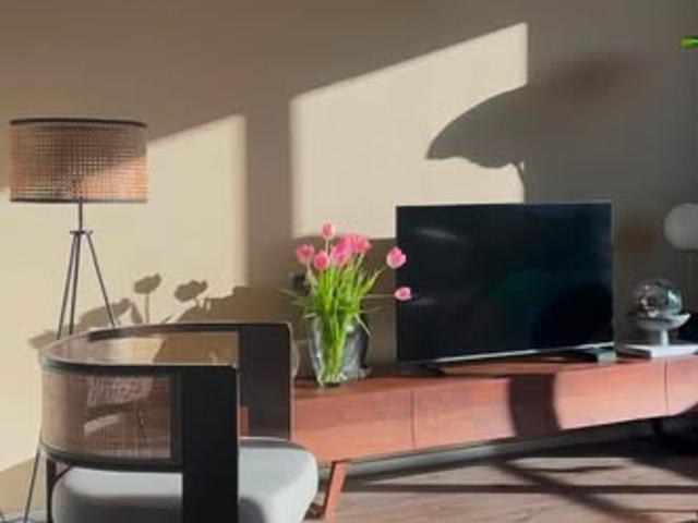 kamer for rent Amsterdam n.v.t