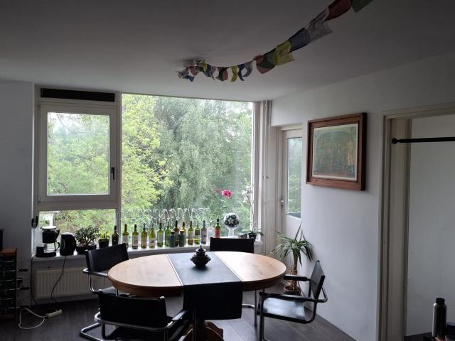 kamer for rent Amsterdam Schierstins
