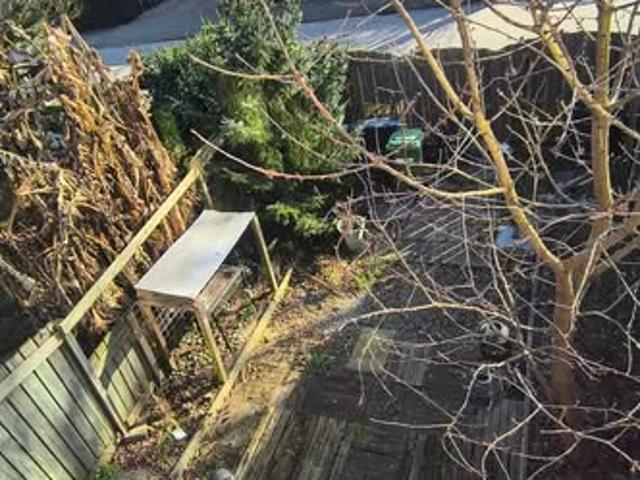 kamer for rent Amsterdam Sierplein