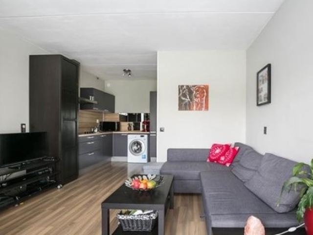 kamer for rent Amsterdam Vondelstraat
