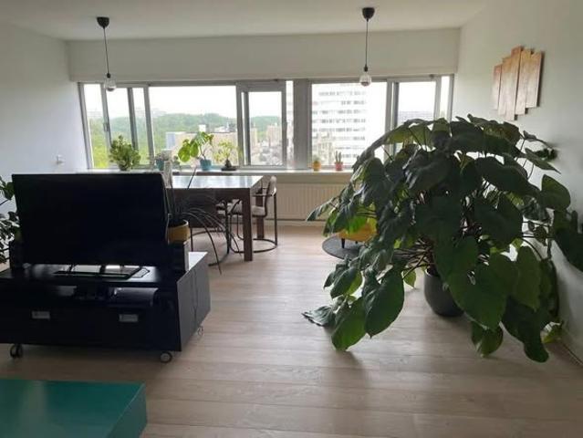 kamer for rent Amsterdam Van Leijenberghlaan
