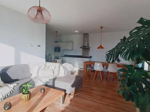 kamer for rent Amsterdam Zeeburgereiland