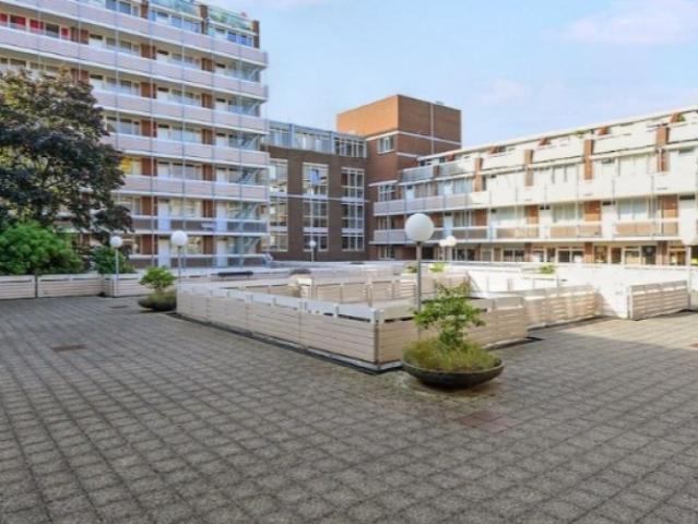 kamer for rent Den Haag Frederikstraat
