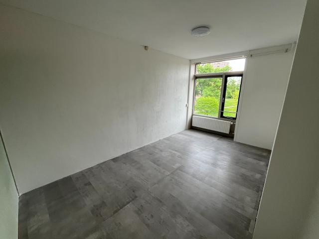 kamer for rent Den Haag Hendrinaland