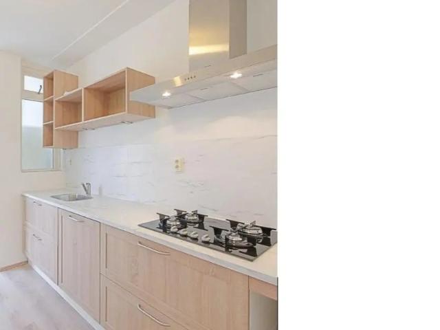 kamer for rent Den Helder Keteldiepstraat