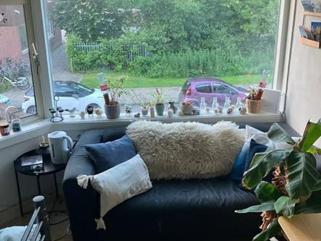 kamer for rent Groningen Molukkenstraat