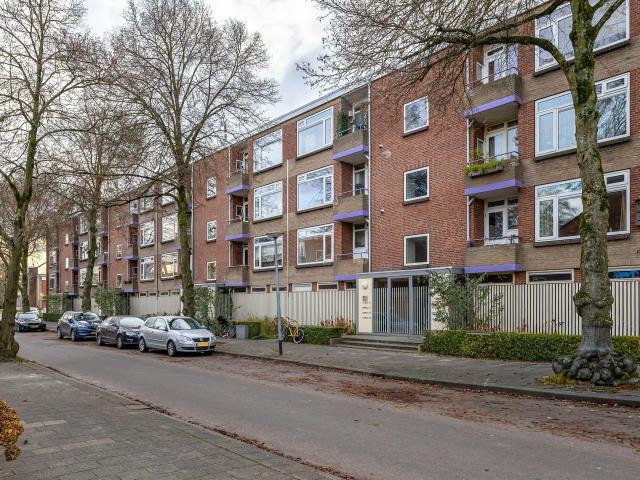 kamer for rent Groningen Multatulistraat