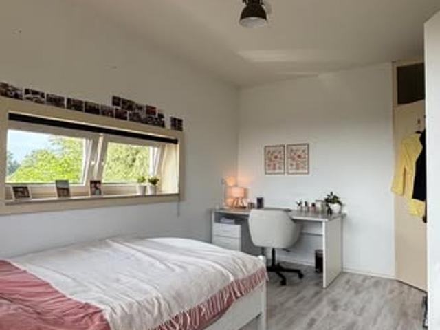 kamer for rent Groningen Paddepoel