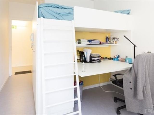 kamer for rent Rotterdam Adamshofstraat
