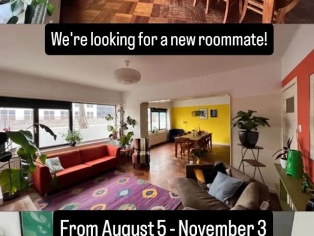 kamer for rent Rotterdam Rochussenstraat