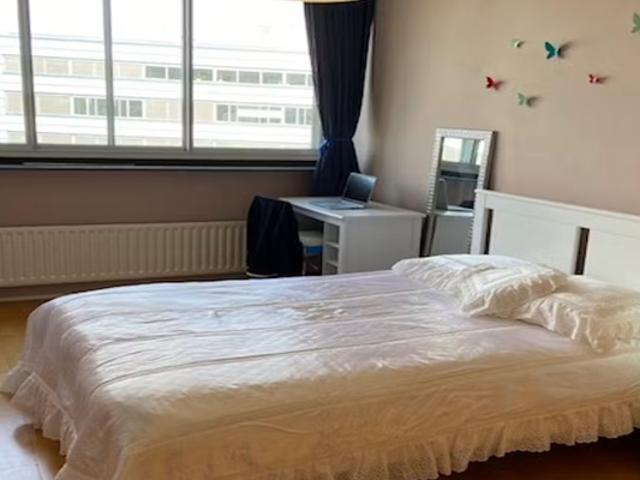 Kamer Gedempte Zalmhaven in Rotterdam