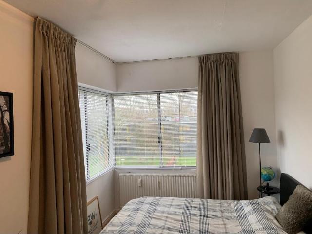 Kamer Gouden Leeuw