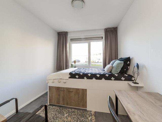kamer in Utrecht, Limapad